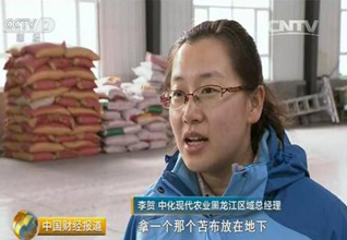 农业供给侧结构性改革新观察：“胖”玉米的减肥阵痛