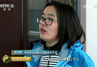 来自春耕一线的报道：玉米的“钱”景