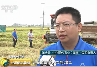湖南：高档优质稻扩种 订单农业助农增收