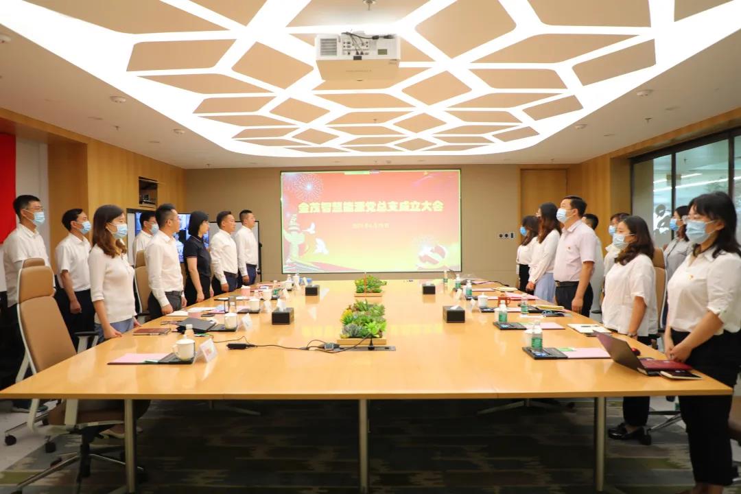 金茂智慧能源党总支成立大会顺利召开