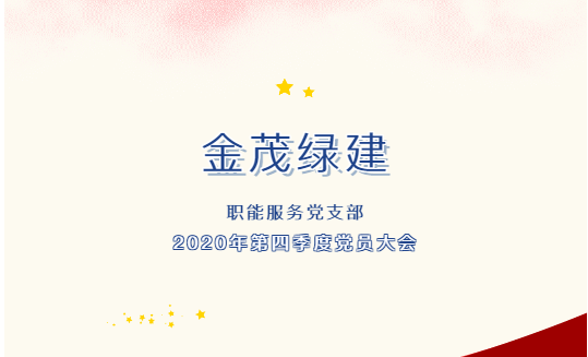 金茂绿建 职能服务党支部 2020年第四季度党员大会