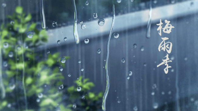 梅雨季 绿盾卫士帮您渡过“南”关